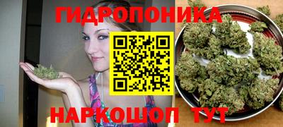 ешки Будённовск