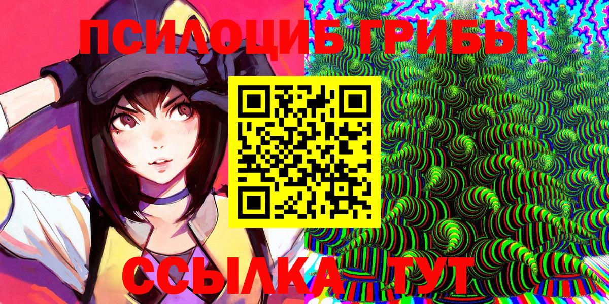 Галлюциногенные грибы Psilocybe Вышний Волочёк