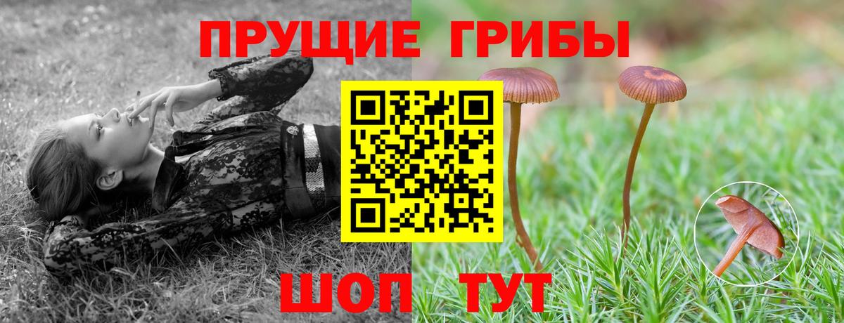 Галлюциногенные грибы ЛСД  Вход с VPN  Вышний Волочёк  Псилоцибиновые грибы мухоморы 